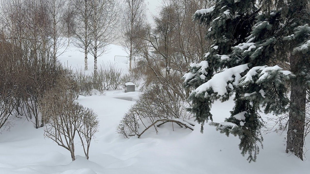 What Last #snowfall looks like? Watch in 4K