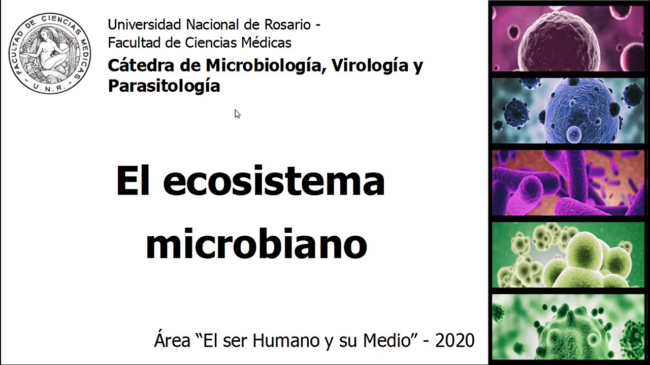 El mundo microbiano (parte 2). El ser humano y su medio 2020.