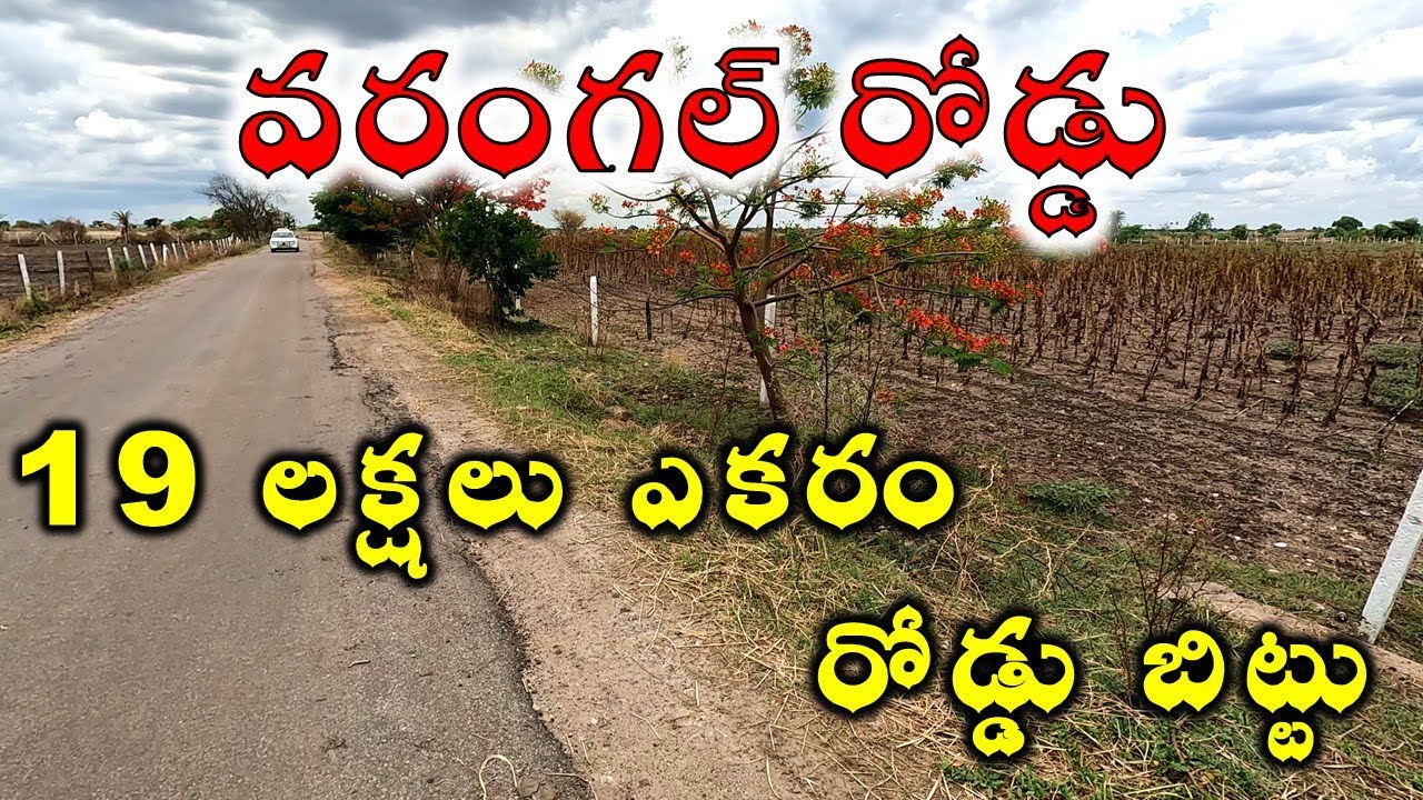 I Bought Agricultural Lands for sale in Telangana and Found Out These 5 Essential Things