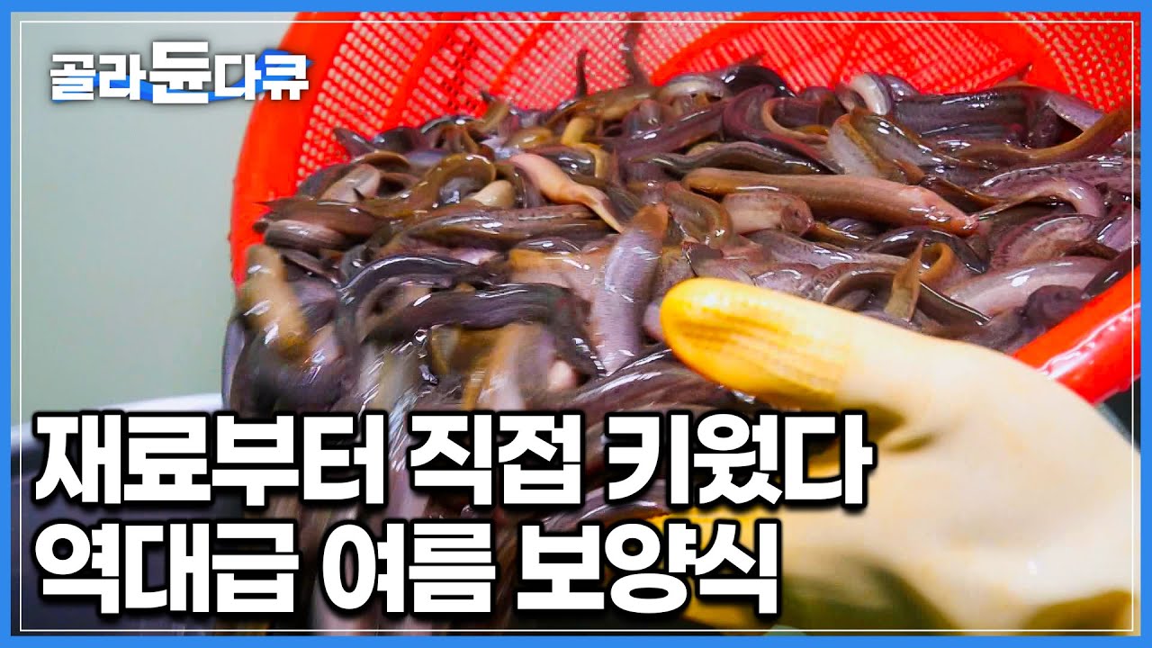 미꾸라지 양식부터 재료 손질까지 손 많이 가는 여름 보양식 추어탕! 한 그릇의 추어탕을 만들기 위해 무려 7일간 고생하는 작업자들｜극한직업｜#골라듄다큐