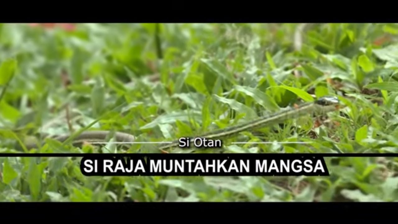 [FULL] Si Rasa Muntahkan Mangsa | SI OTAN (15/03/22)