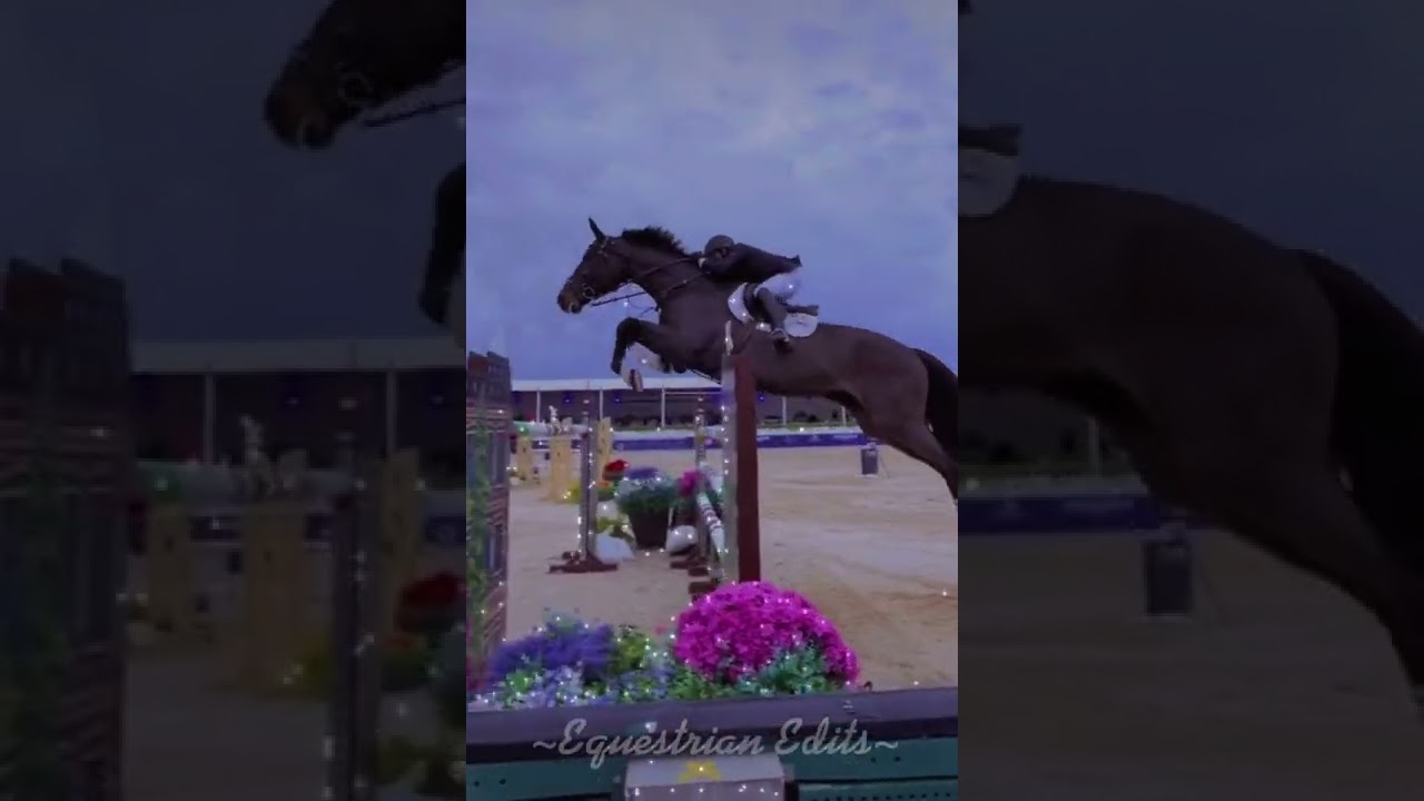 Show Jumping!🤩&hearts;️ #horses #shorts #showjumping #trending #horsejumping #horseriding