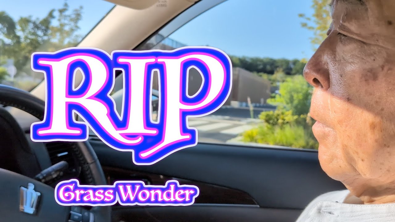 グラスワンダーよ安らかに...