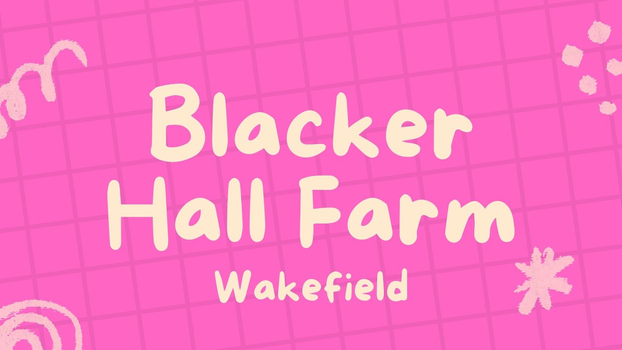 Scones, Sandwiches And Vibes At Blacker Hall Farm