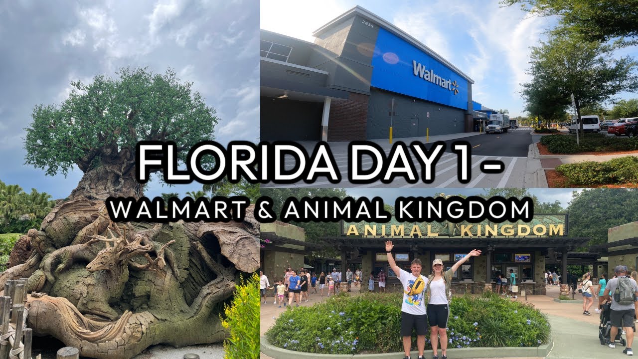 Florida Day 1 | Walmart | Animal Kingdom