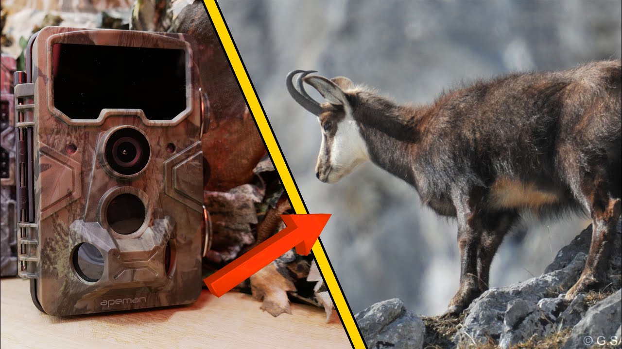 Test d'une super caméra de chasse !? (Apeman H60)