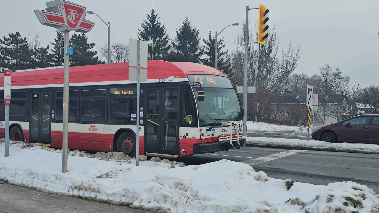 Foaming at Cedarvale! (Eglinton West)