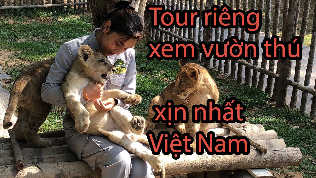 Tour riêng xem Vinpearl Safari Phú Quốc, vườn thú mở xịn nhất Việt Nam có gì đặc biệt?