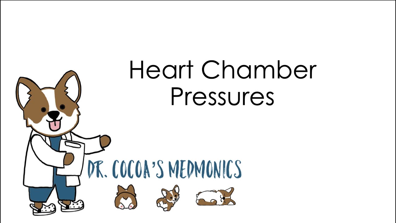 Heart Chamber Pressure