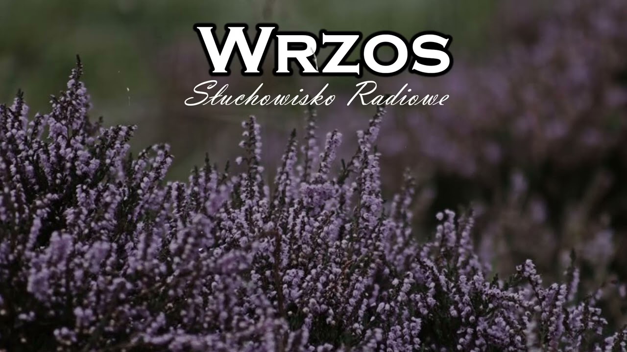 Wrzos - M. Rodziewicz&oacute;wna | Słuchowisko Radiowe