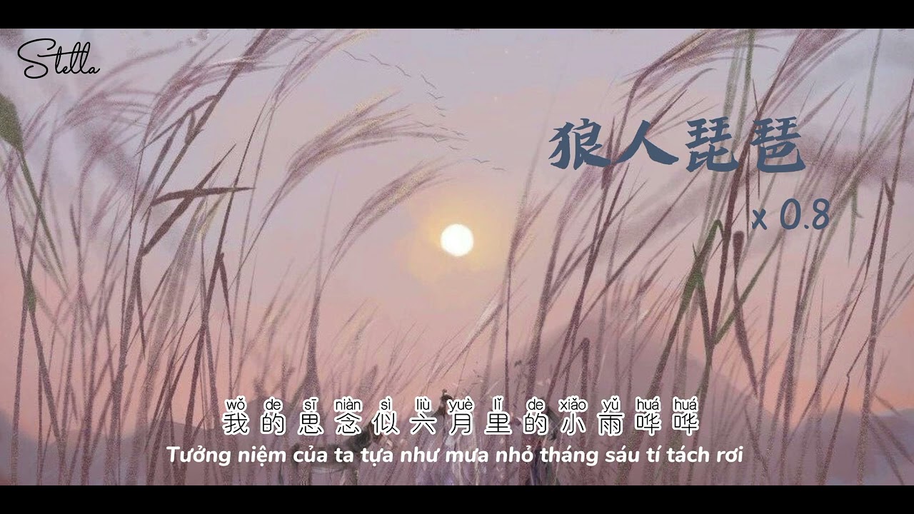 [Vietsub+Lyrics+Pinyin] Tỳ bà phiêu bạt (bản x0.8) ｜浪人琵琶x0.8