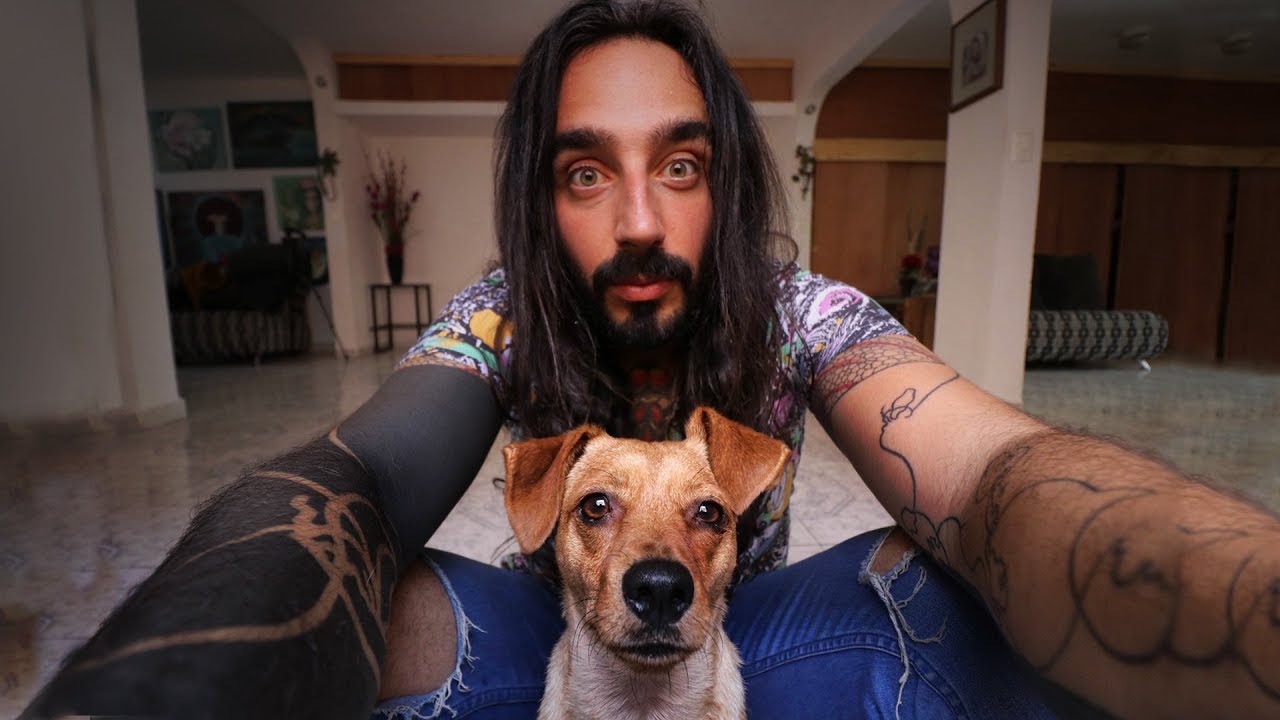 Adoptamos un PERRO callejero