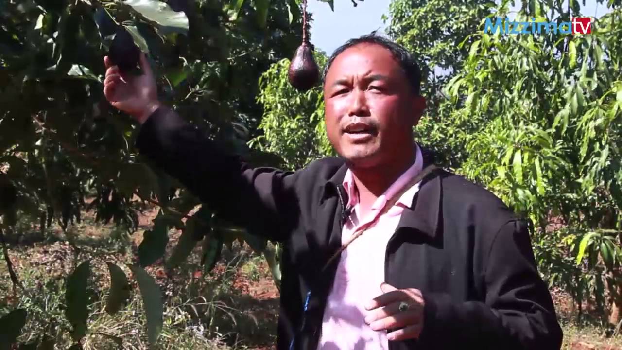 ေထာပတ္သီးစိုက္ပ်ိဳးျခင္း (Part_2)