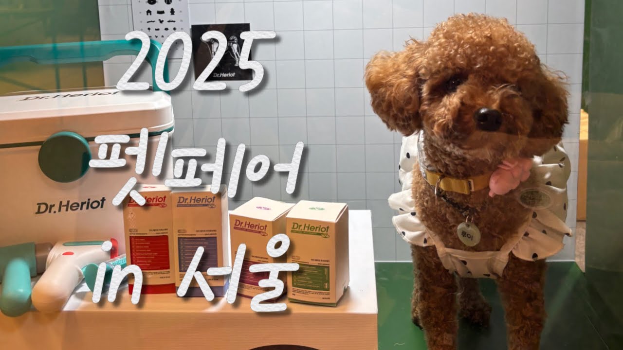 2025 서울 펫페어(삼성코엑스) 다녀왔어요🐶 강아지들의 천국☀️