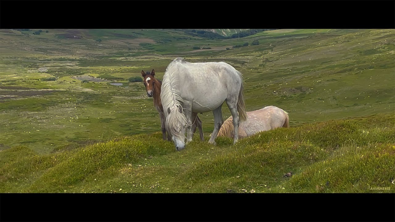 Exploring Welsh Landscapes from Above | Aerial Heritage in Cymru