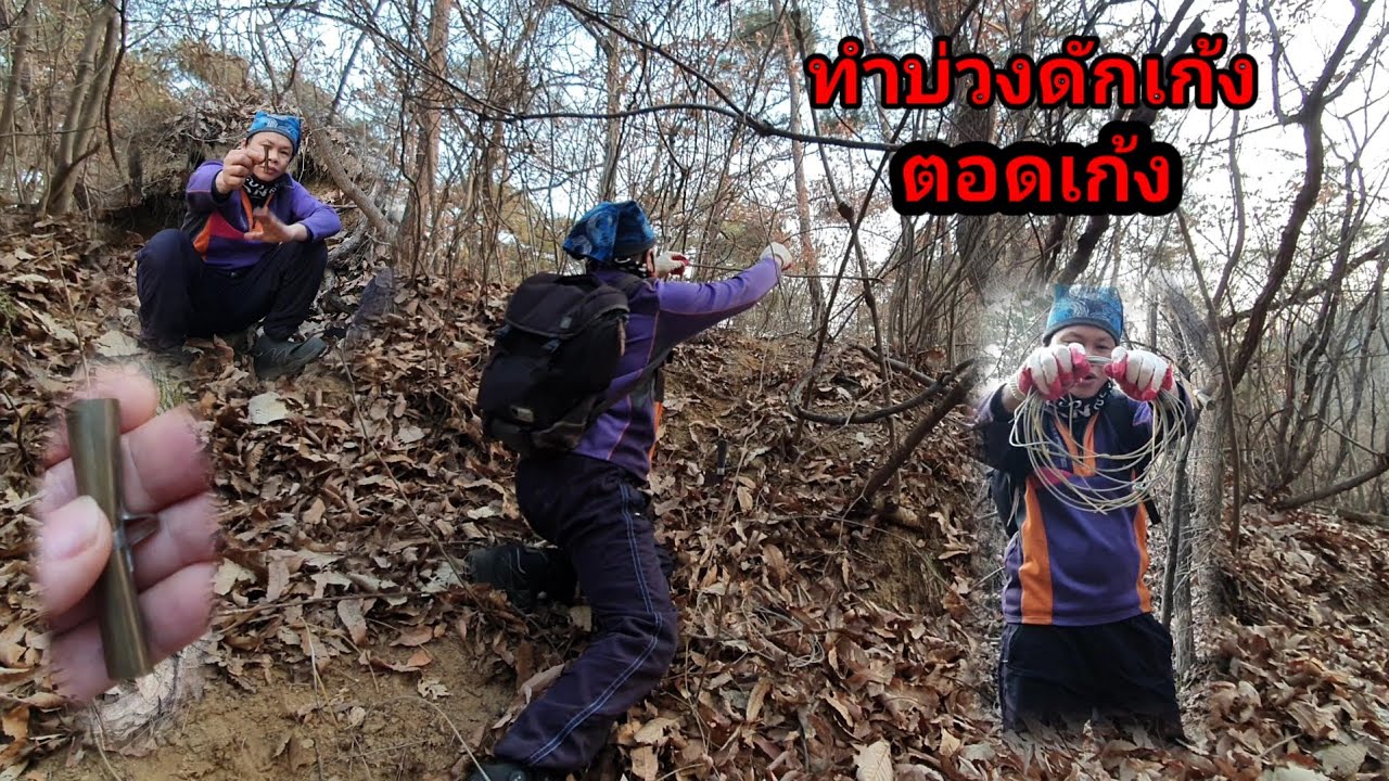 ขึ้นเขาทำบ่วงดักเก้ง,ลองเสียงตอดเก้งทำขึ้นใหม่