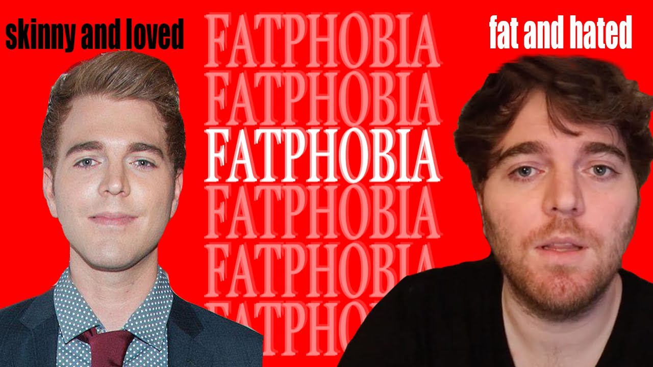 shane dawson's cancelation and fatphobia (james charles, david dobrik, cancel culture)