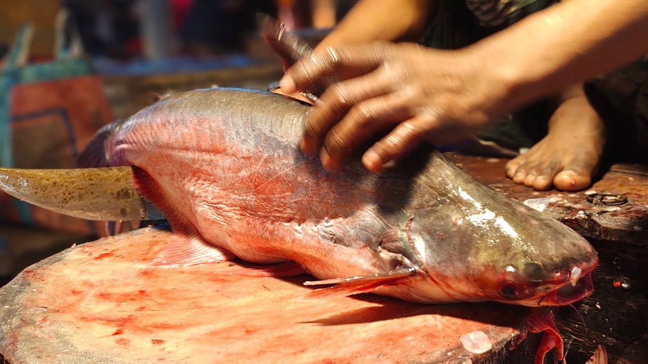 পাঙ্গাস ফিস কাটিং ভিডিও #Pankaj fish #cutting skills #YouTube #long video #fish market #Bangladesh 