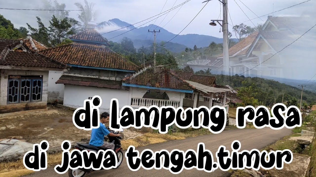 #viral Kampung Pelosok  Jawa Asli Desa bandar agung lampung, Pada Makmur Di Sini.