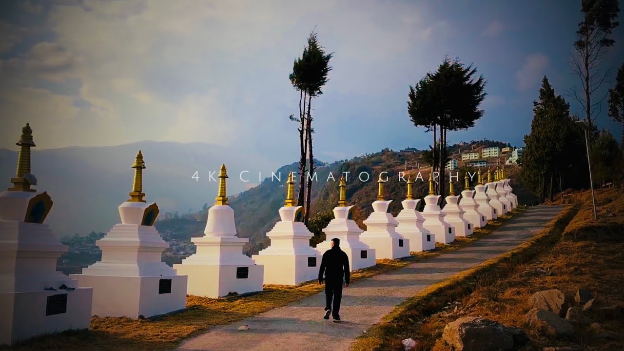 Nature cinematic mode on | cinematography | short clips