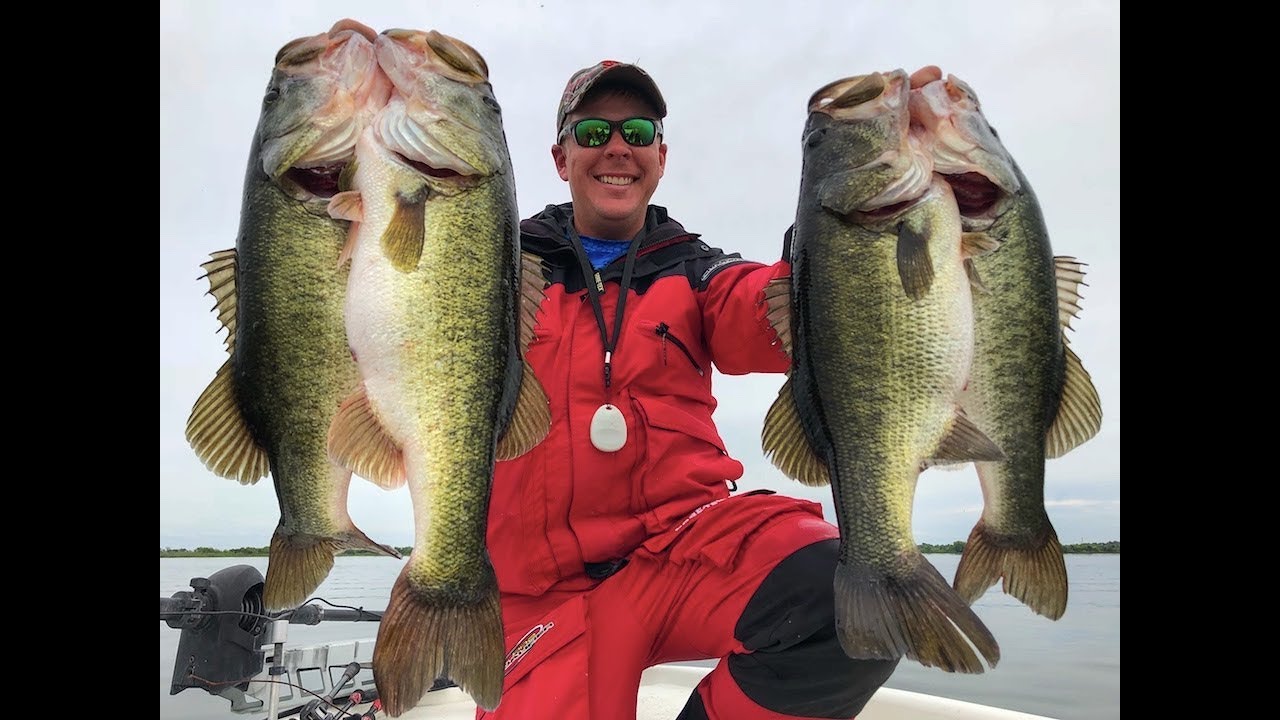 Fishing with SWIMBAITS for MONSTER Bass!!! (Harris Chain)