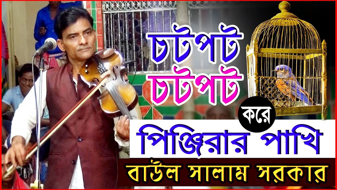 ওরে আমার ঘরে বসত করে_কোনদিন জানি দেয় ফাঁকি _চট্পট্ চট্পট্ করে পিঞ্জিরার পাখি_ বাউল কবি সালাম সরকার I