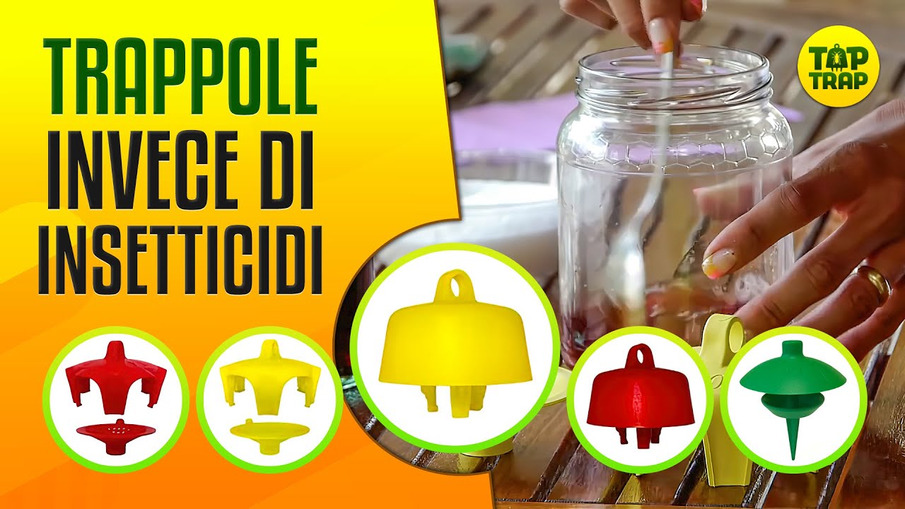 TRAPPOLE invece di INSETTICIDI 🚫