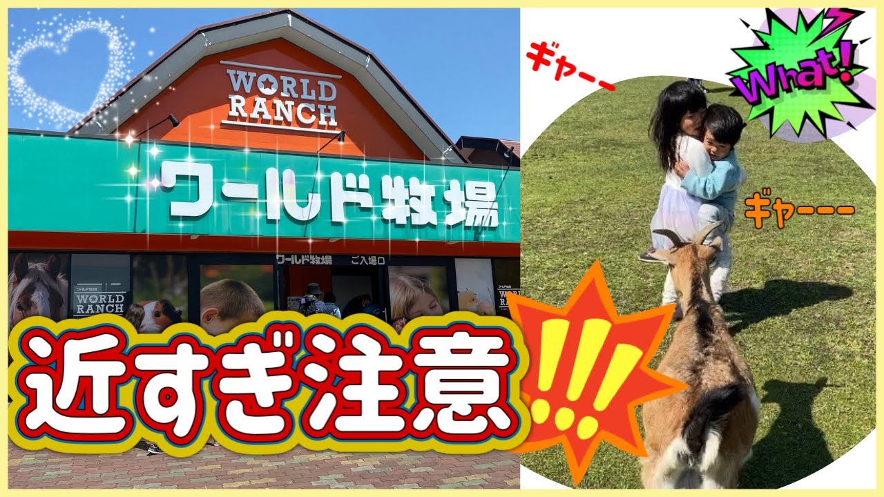 【近すぎ注意】ワールド牧場の楽しみ方を紹介!! たくさんの動物たちとふれあえる！最後にお得な情報も♪