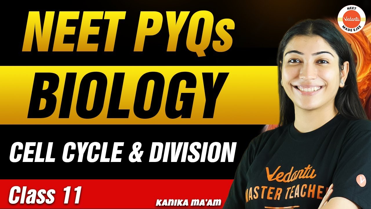 NEET PYQs for Cell Cycle and Division | Class 11 Biology | NEET 2024