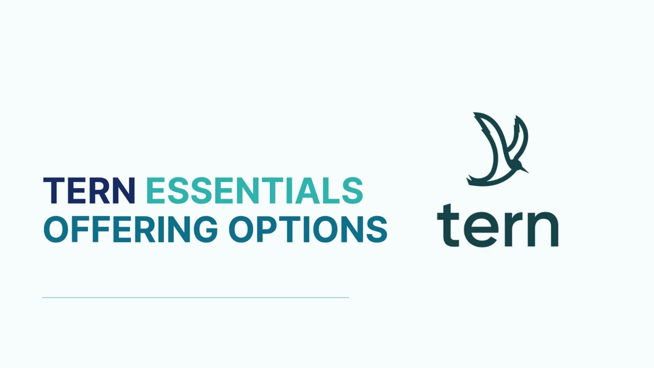 Tern Essentials - Disney Destinations - Offering Room/Ticket/Dining Options