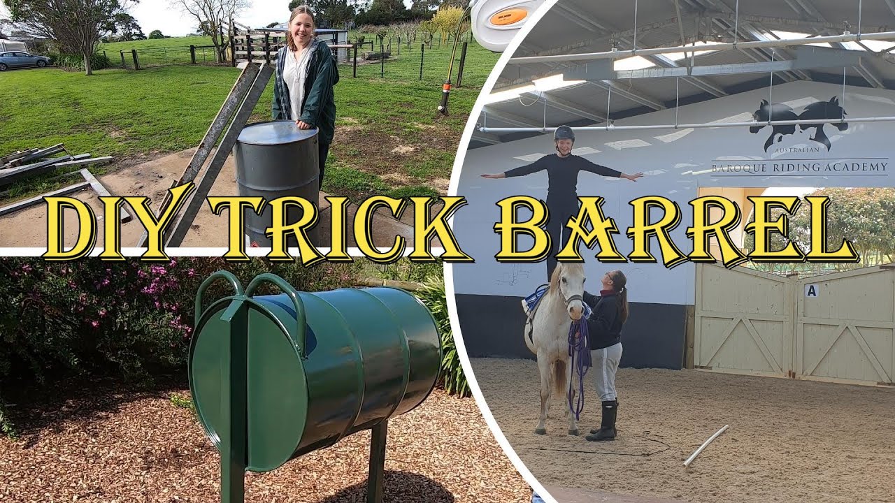Horse trick barrel made for practice! Near death Redback spider attack!