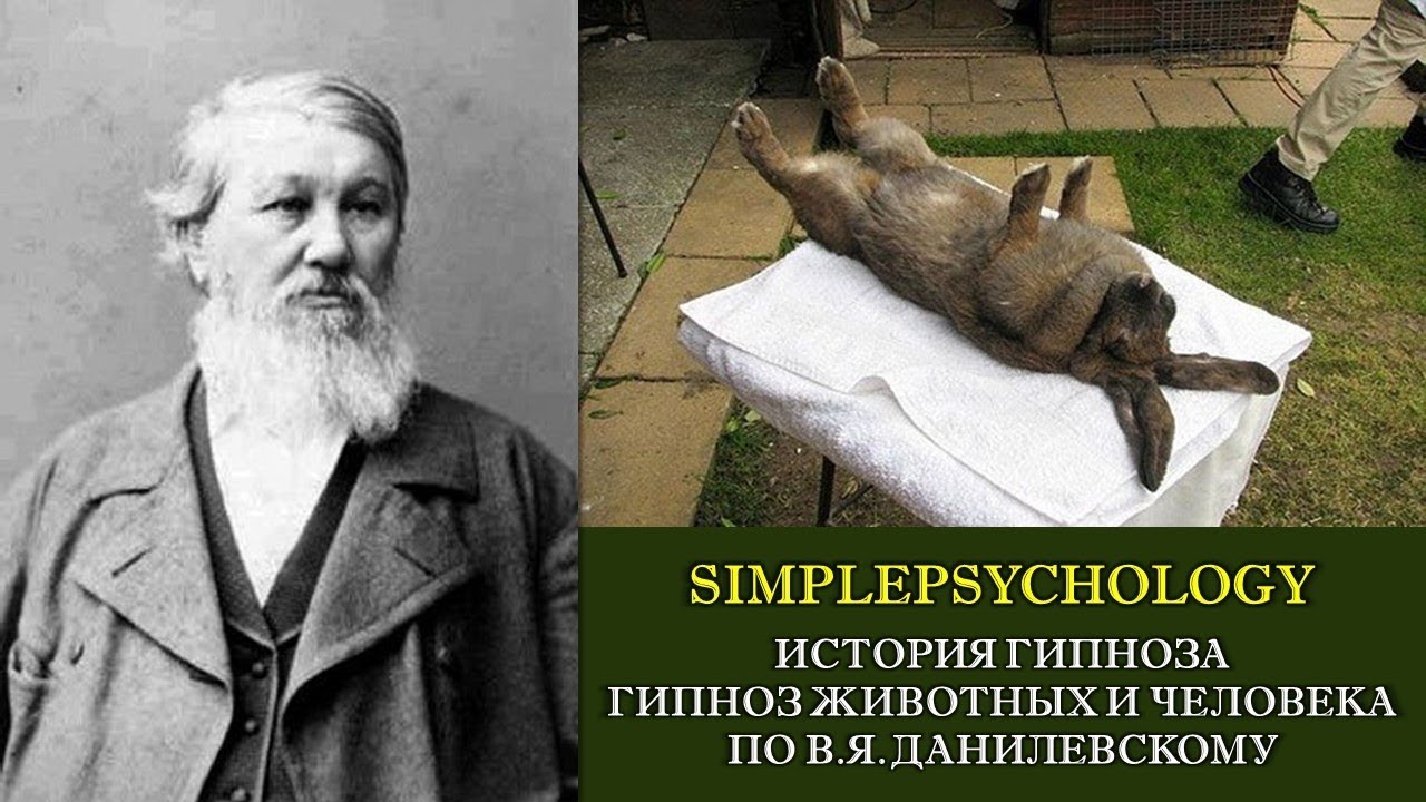 История гипноза. Гипноз животных и человека по В.Я. Данилевскому.