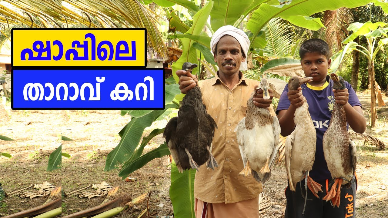 DUCK CURRY | Toddy Shop  Style Yummy And Spicy | Shappile curry