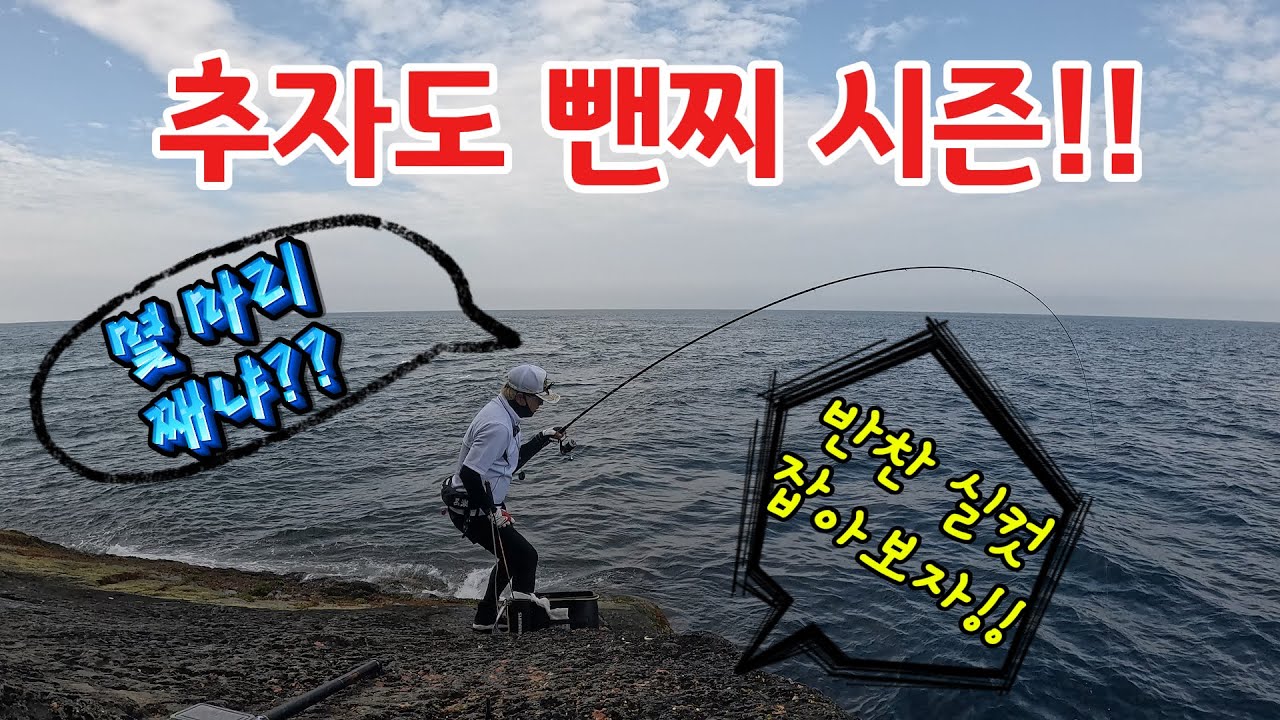 추자도 돌돔시즌 시작!!
