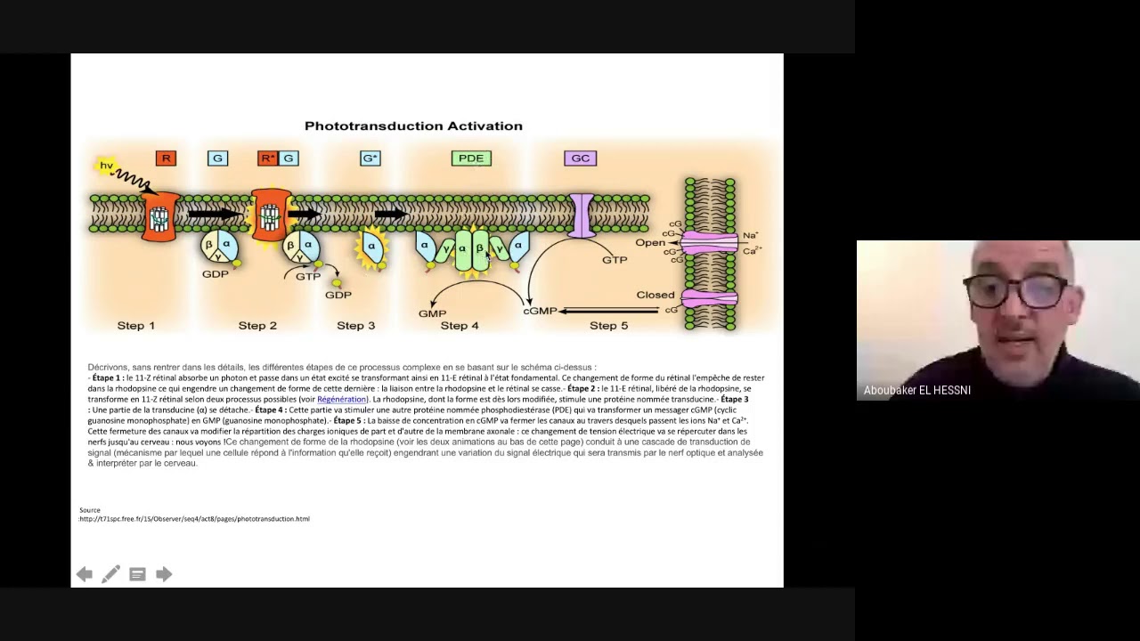 Récepteurs CPG et récepteurs tyrosine kinases - Master : Biologie et santé