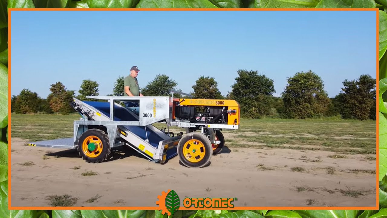 Ortomec 3000 | Harvester for leafy vegetables