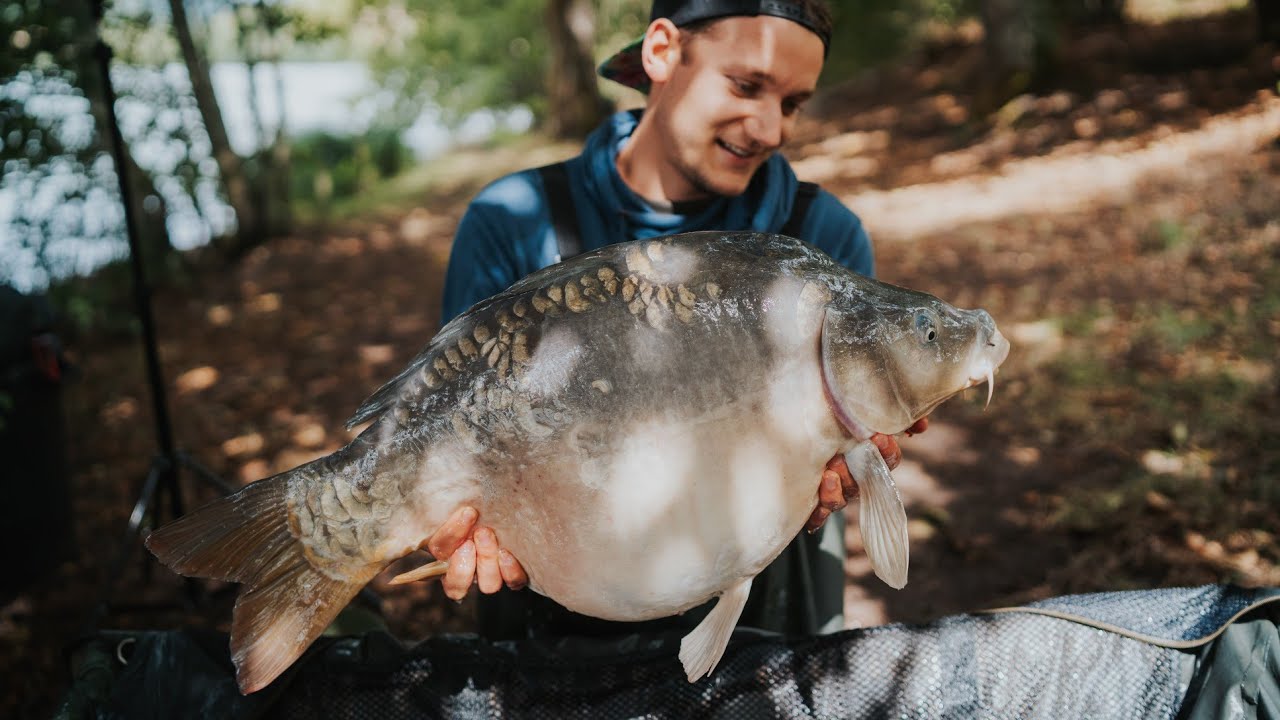Karpfenangeln in Frankreich - Etang des Gaulois 2020