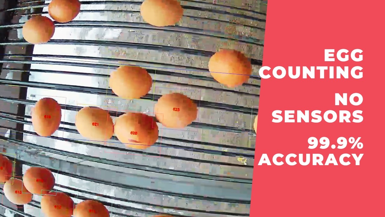 Egg counting with a conventional IP camera