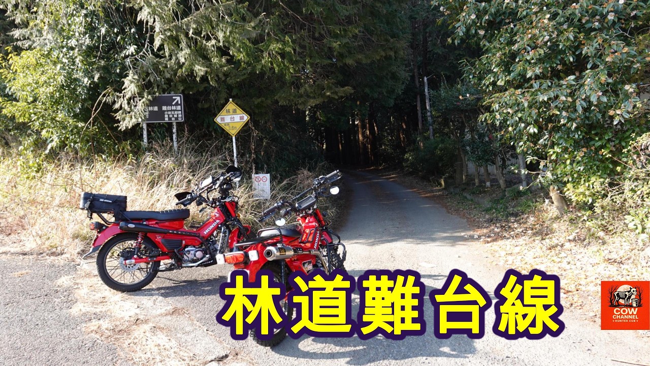 【COW】林道難台線