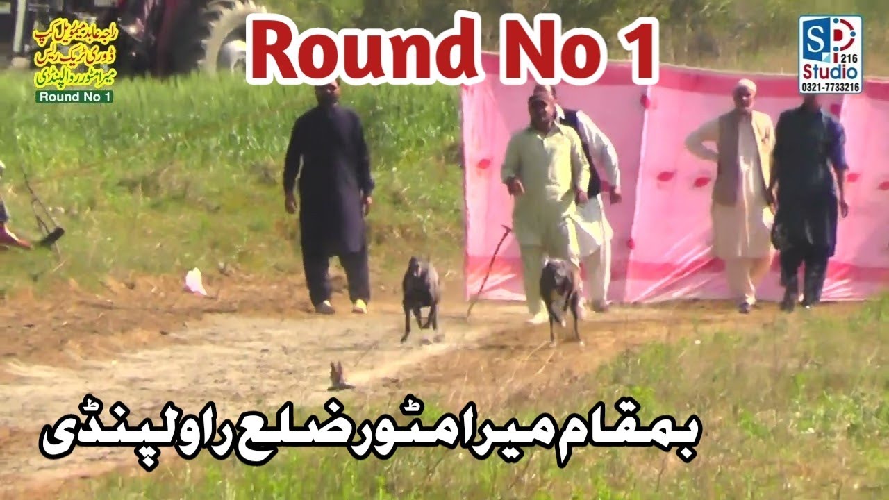 Dog Race Round no 1 | Raja Abid (M) Cup Dori Tack Race | Matoer Kallar Syedan Rawalpindi |19-03-2022