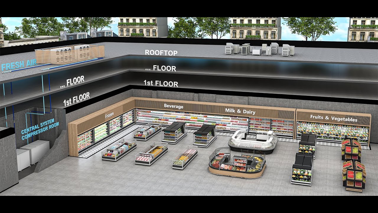How Dina Group Builds World-Class Supermarkets | Full Retail Design & Equipment Solution