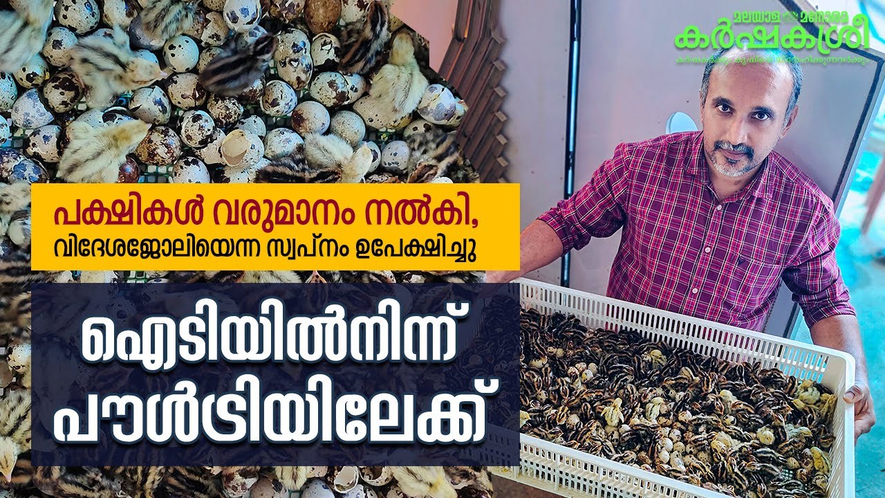 കാട, കോഴി, ടർക്കി.. പ്രതിമാസം ലാഭം 80,000; യുകെ, ഓസ്ട്രേലിയ പിന്നെ എന്തിന്? | Karshakasree | Poultry