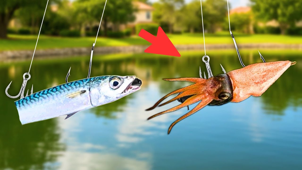 I Tested a Live Bait Fishing Gadget in a Pond...