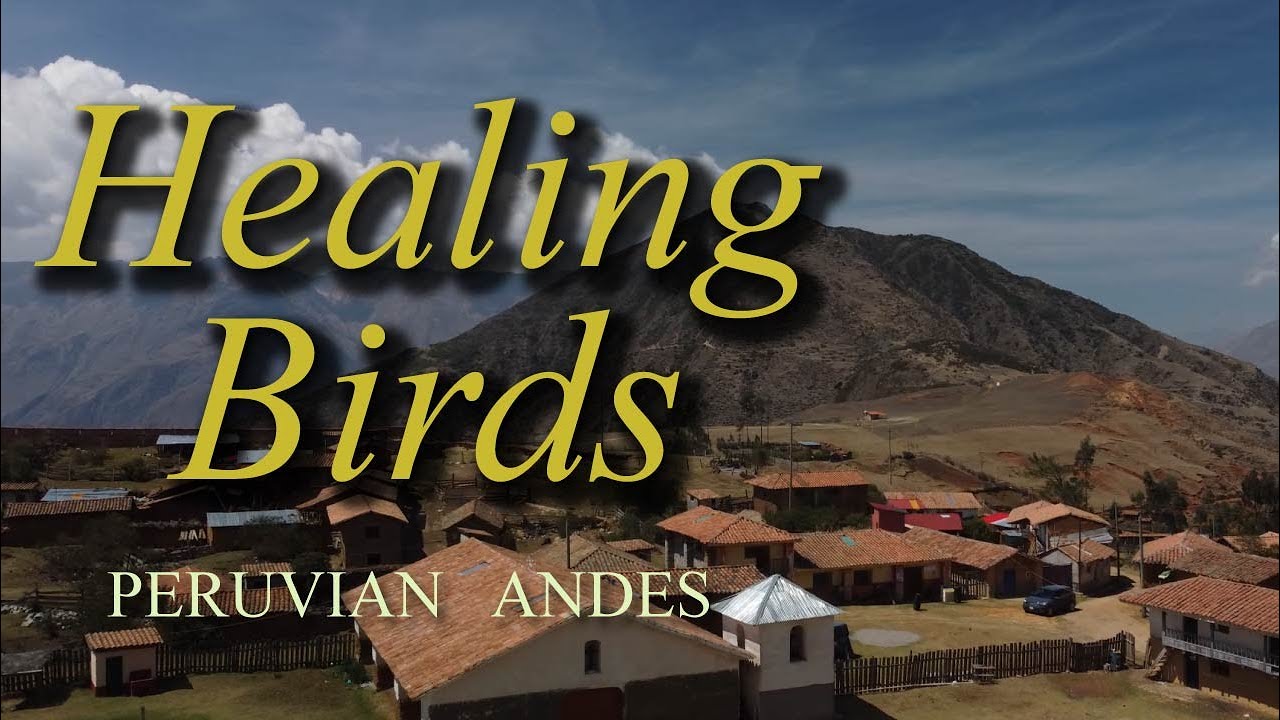 Peruvian Healing Birds - Peruvian Andes