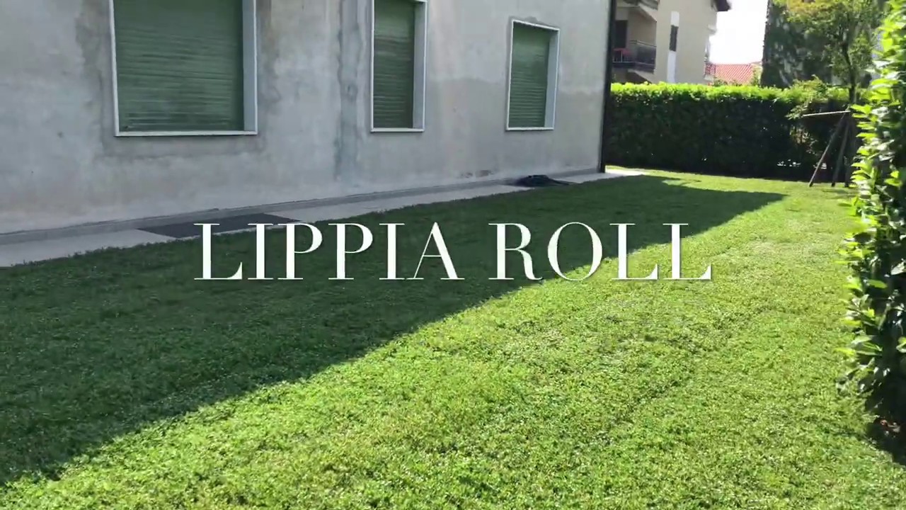 Lippia roll tappeto fiorito