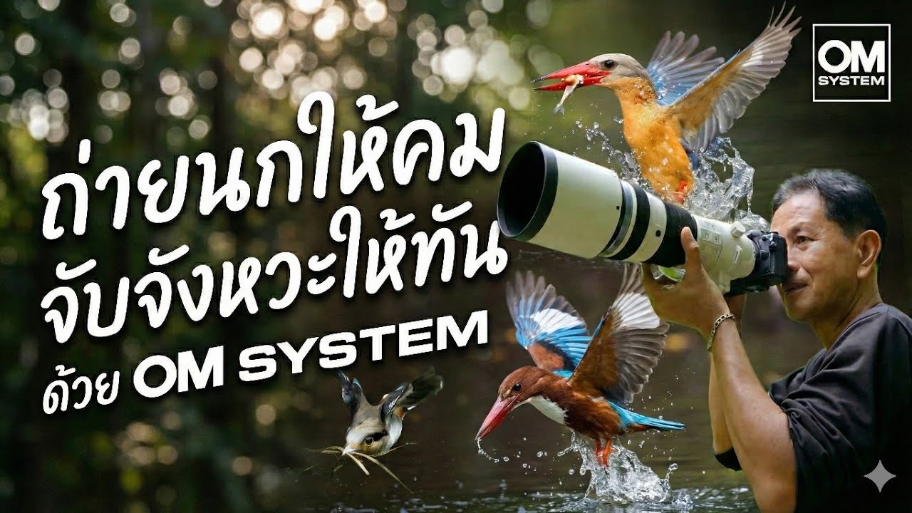 📸 ถ่ายนกให้คม จับจังหวะให้ทัน ด้วย OM SYSTEM! [OMป้ายยา ep.1]