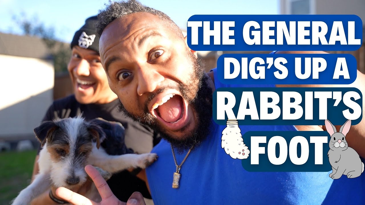 The General DIGS Up a RABBIT FOOT!?!?! (Jack Russell Terrier)