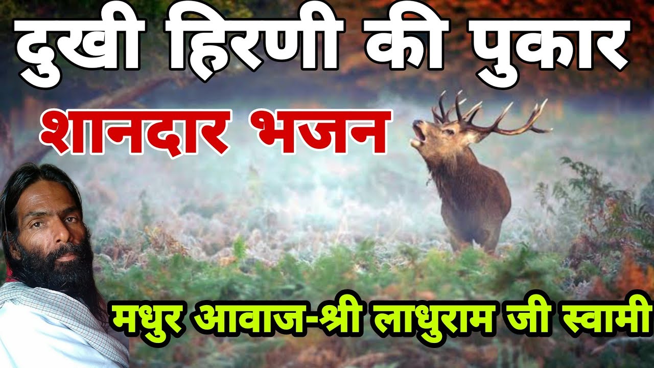 दुखी हिरणी की पुकार || श्री लाधुराम जी || Hirni Ki Pukar || Ladhuram swami || Hirni ka bhajan