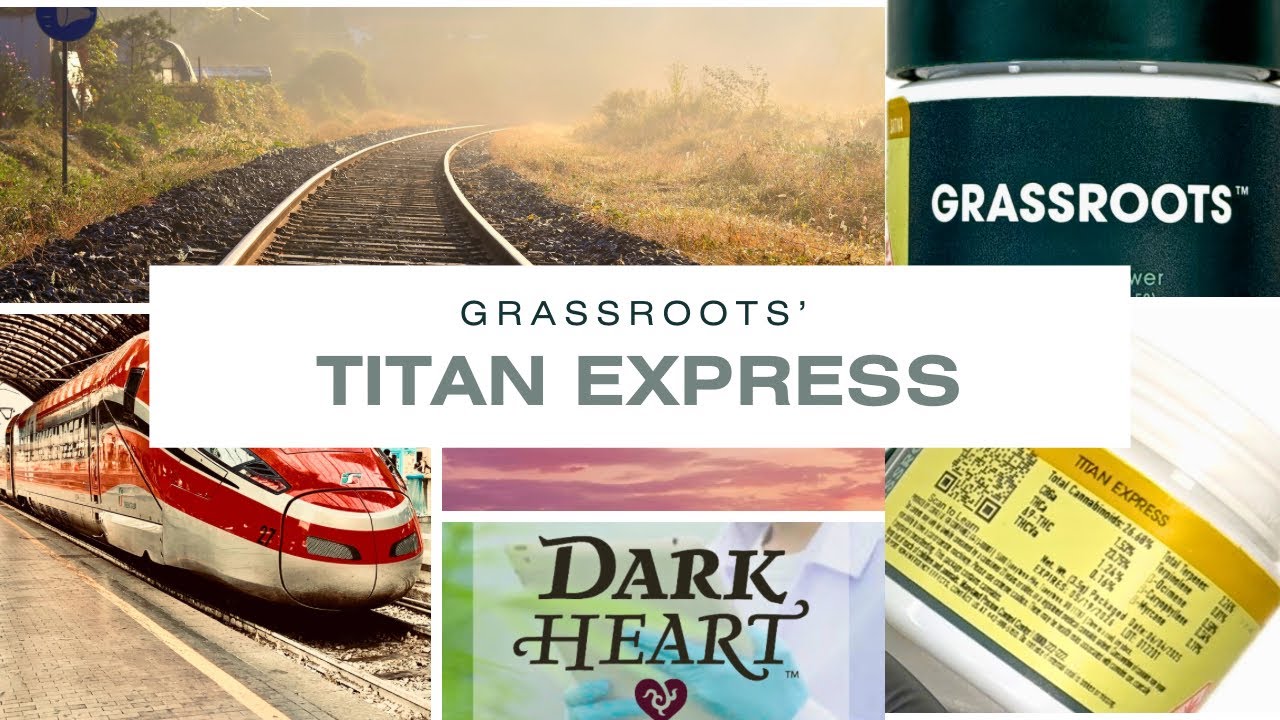Titan Express Cannabis Strain Review | Grassroots x Dark Heart Industries | The Enlightened Voice