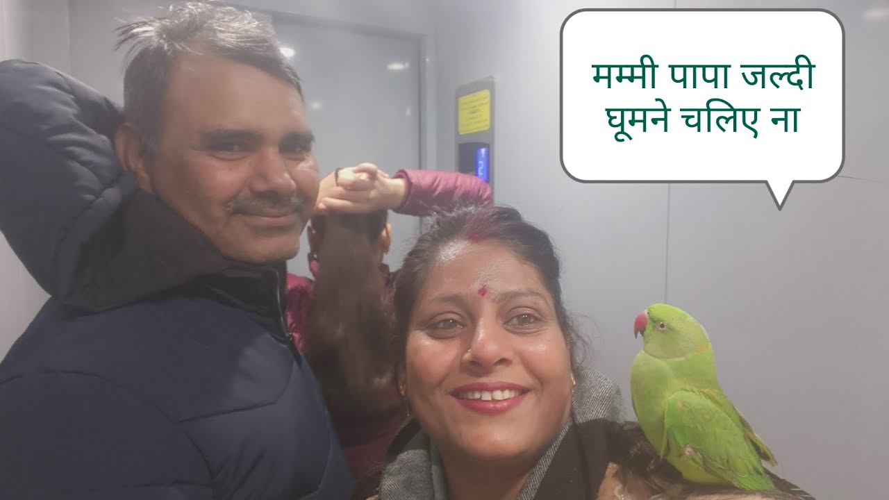 मम्मी पापा जल्दी घूमने चली आज संडे है 🥰🦜🧿#like #subscribe #viralclips #parrot #talkingparot 